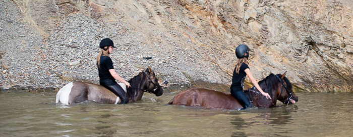 pławienie koni w Rudawce Rymanowskiej